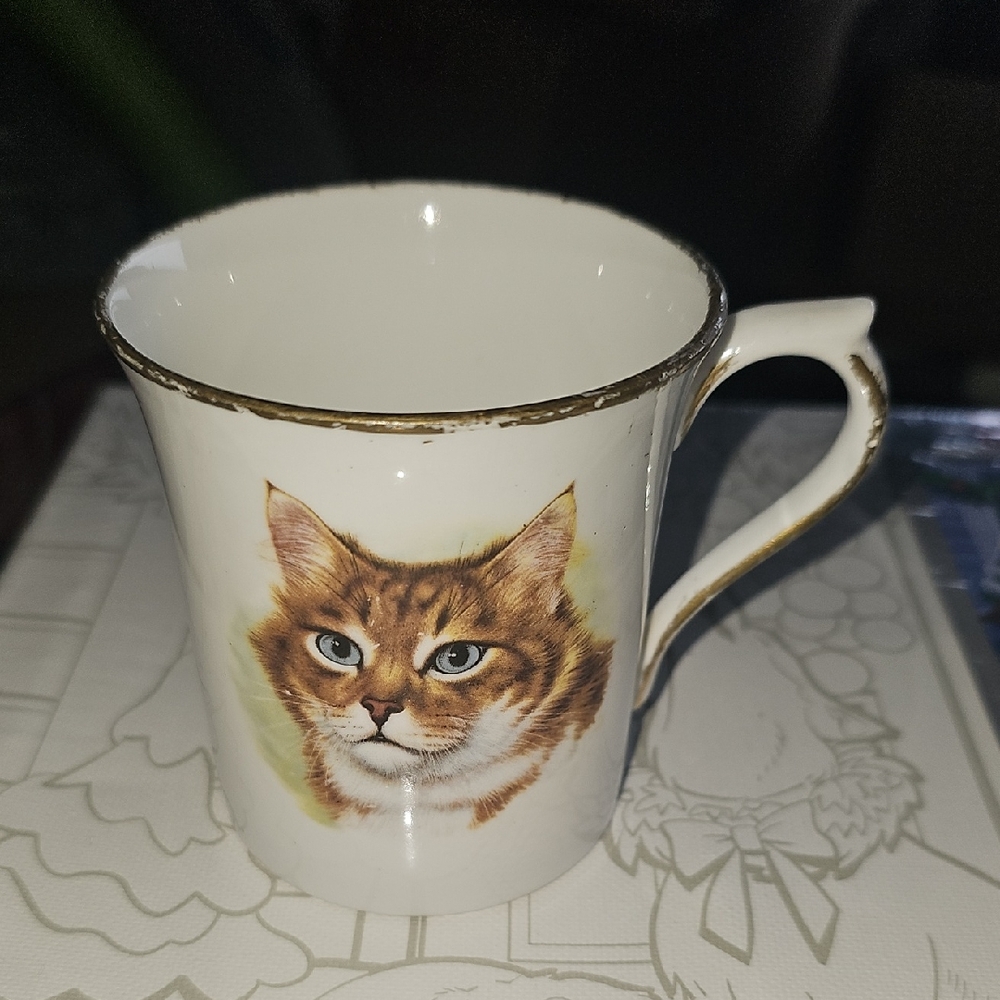 Rosina Fine Bone China Vtg Elegant Cat Design Mug Tea Cup
